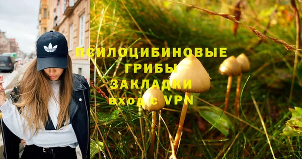 таблы Алексеевка