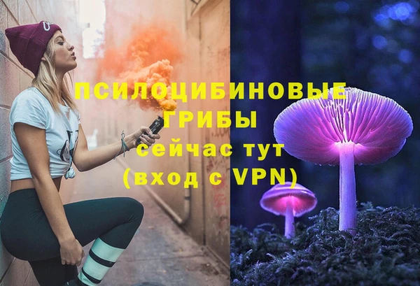 амф Алексин