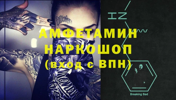амф Алексин