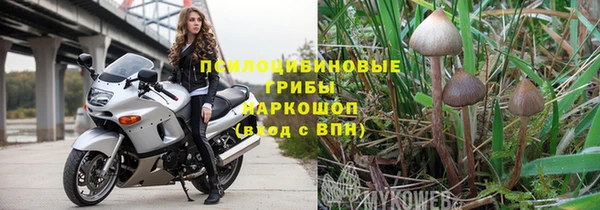 амф Алексин