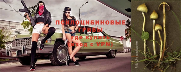 PSILOCYBIN Алзамай